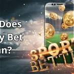 lay bet explained online